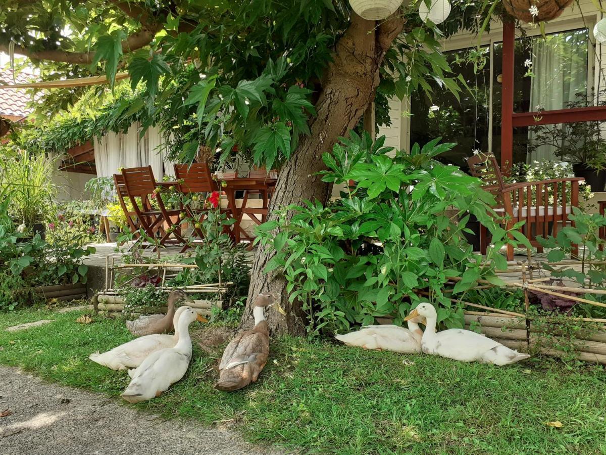 Au Bosquet, Chambre Et Salle De Bains Avec Petit Dejeuner A 600 M Du Centre Dans Un Cadre Calme Et Verdoyant Salies-de-Bearn Ngoại thất bức ảnh